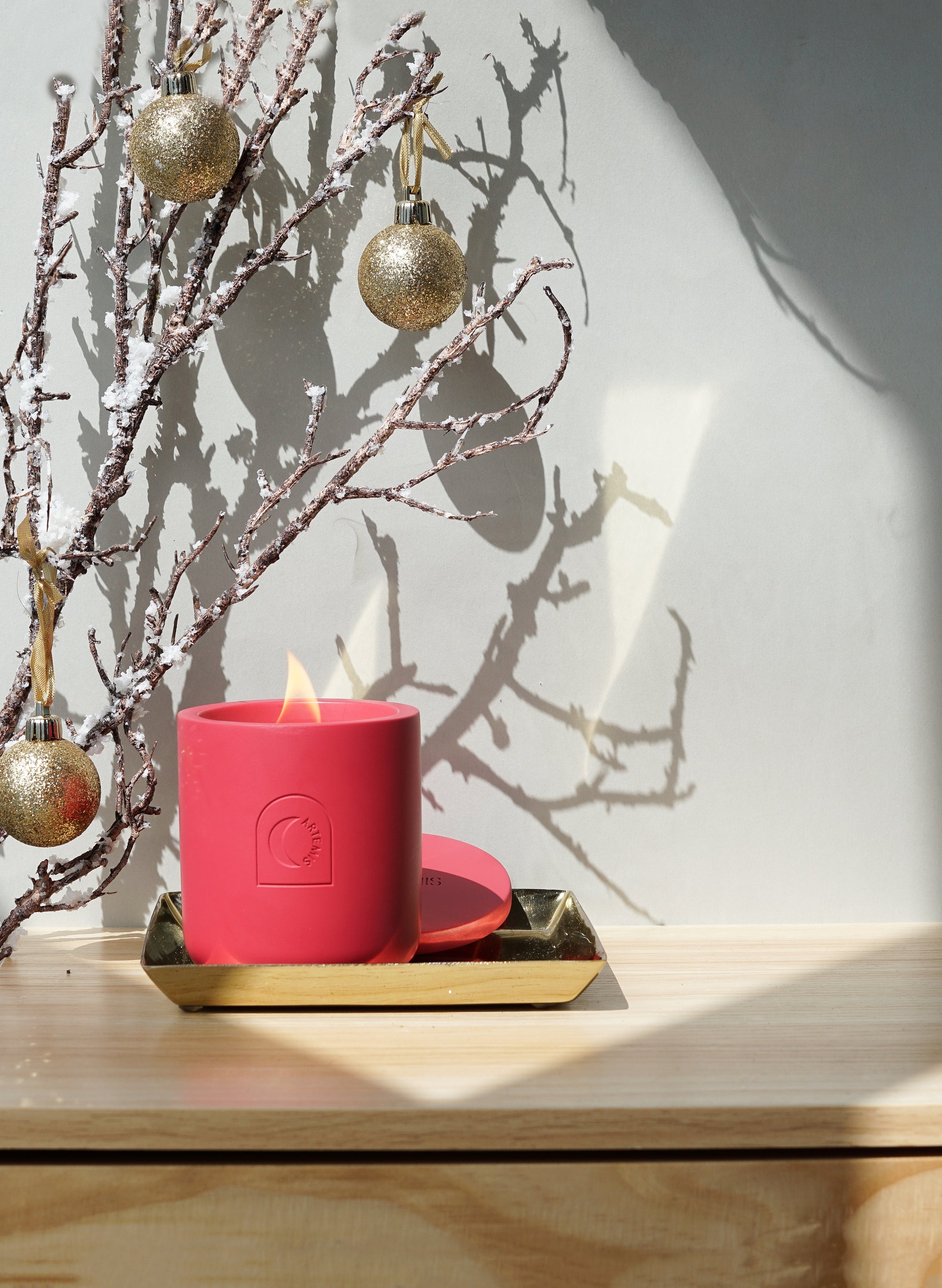 Festive Delight Soy Candle